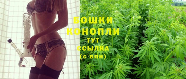 гидра Бугульма