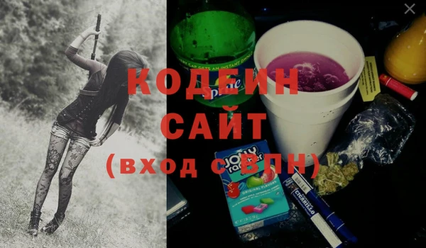 дмт Сясьстрой