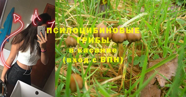 гидра Бугульма