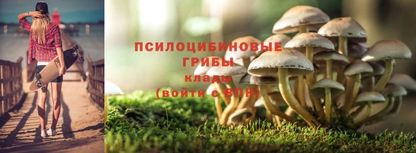 гидра Бугульма